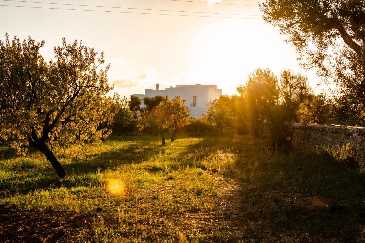 Masseria D'Erchia Monopoli Exteriör bild