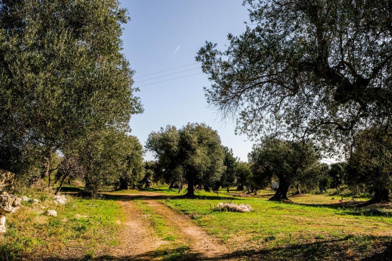 Masseria D'Erchia Monopoli Exteriör bild